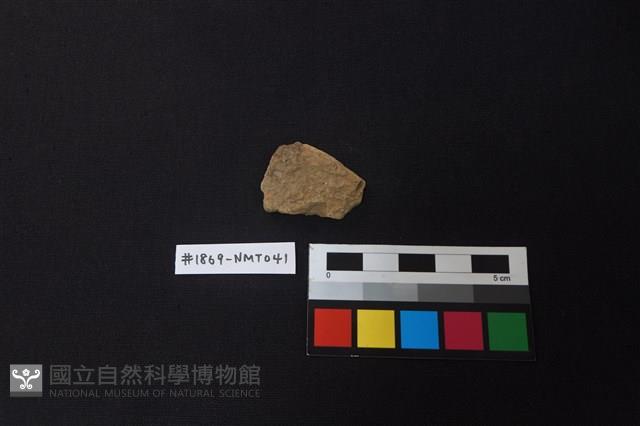 陶片藏品圖，第1張