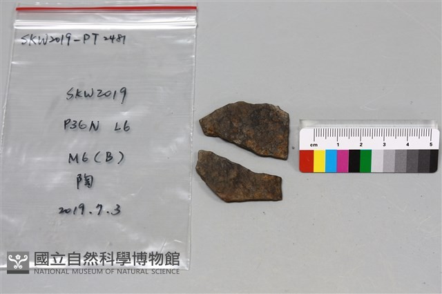 陶片藏品圖，第1張