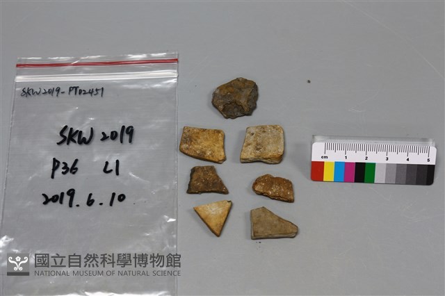 陶片藏品圖，第1張