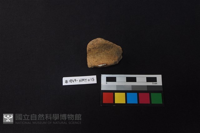 陶片藏品圖，第1張