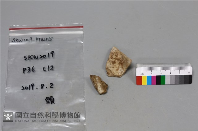 陶片藏品圖，第1張