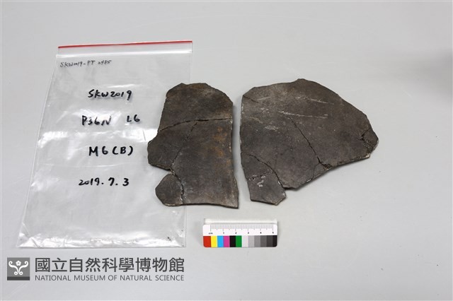 陶片藏品圖，第1張