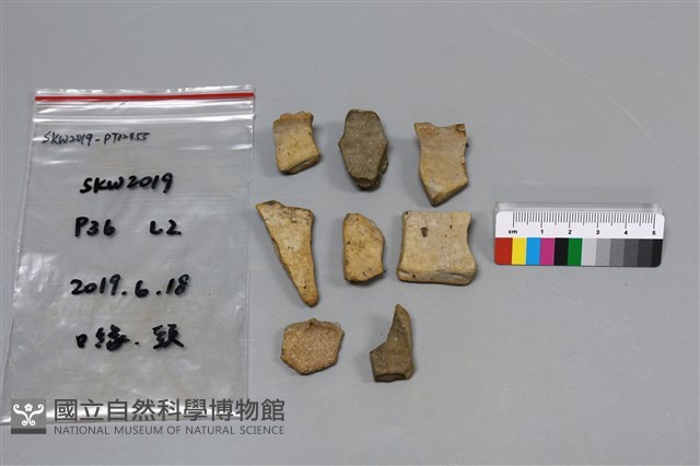 陶片藏品圖，第1張