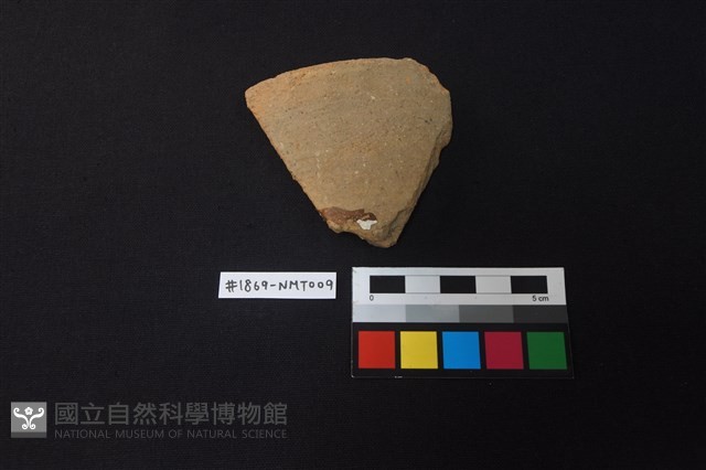 陶片藏品圖，第1張