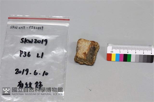 陶片藏品圖，第1張