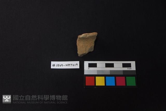 陶片藏品圖，第1張