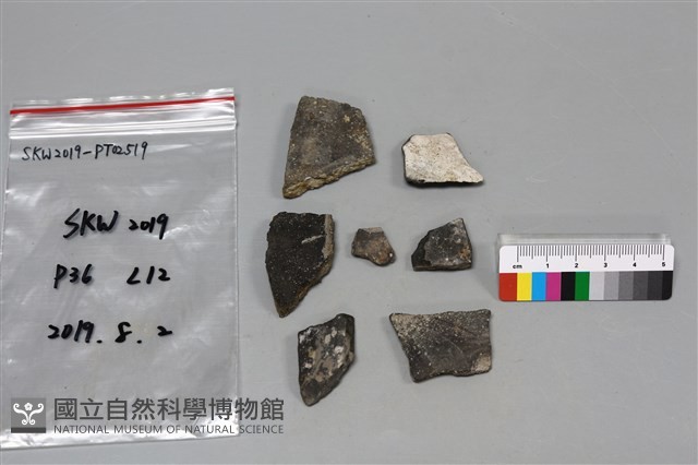 陶片藏品圖，第1張