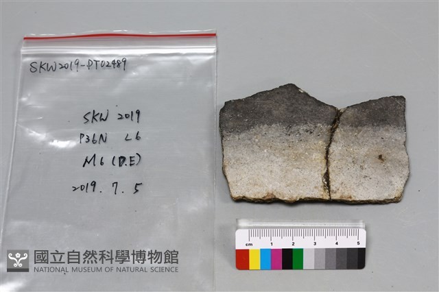 陶片藏品圖，第1張
