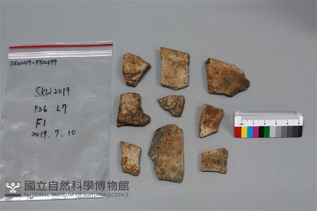 陶片藏品圖，第1張