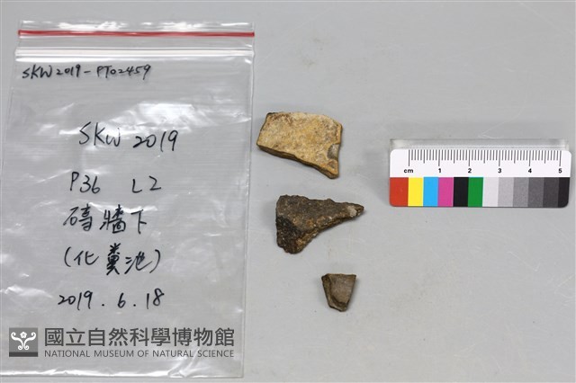 陶片藏品圖，第1張