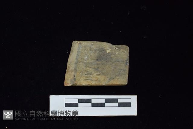 錛鑿形器藏品圖，第1張