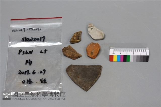 陶片藏品圖，第1張