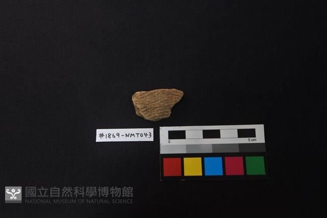 Accession Number:NMT043 Collection Image, Figure 1, Total 2 Figures