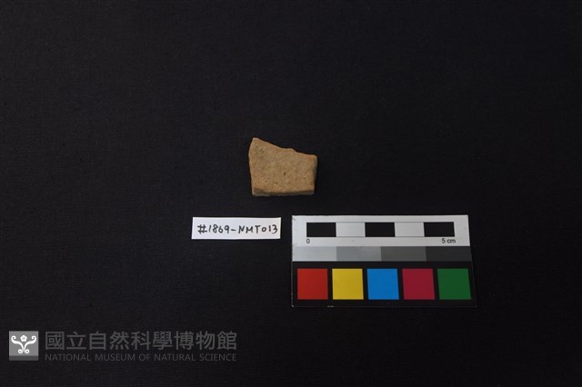 陶片藏品圖，第1張
