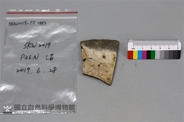 陶片藏品圖，第1張