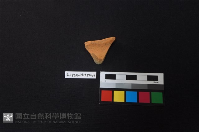 陶片藏品圖，第1張