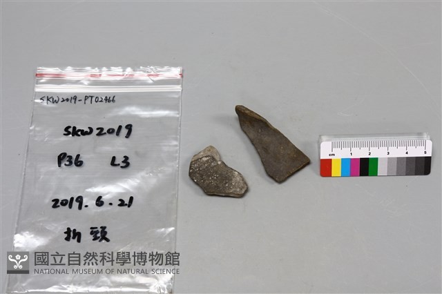 陶片藏品圖，第1張