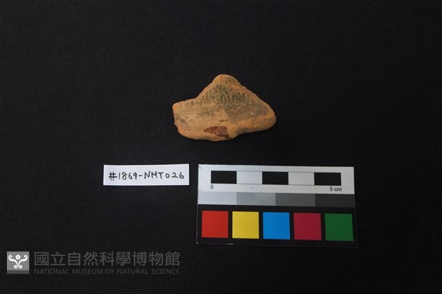 陶片藏品圖，第1張