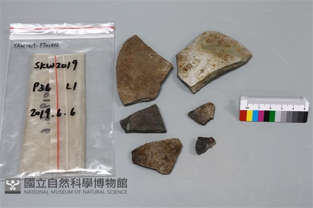 陶片藏品圖，第1張