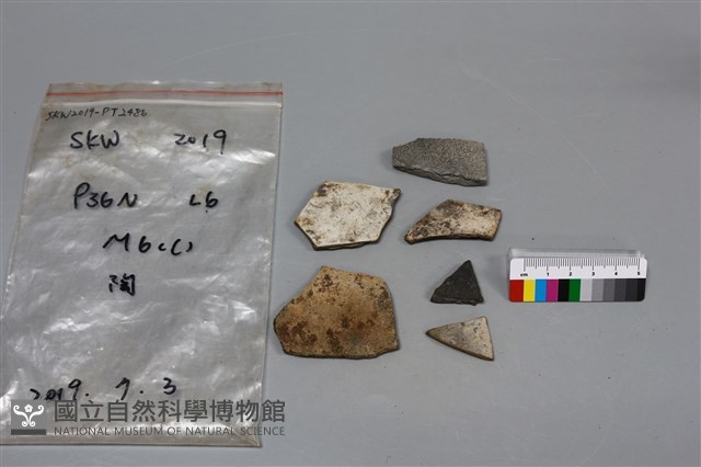 陶片藏品圖，第1張