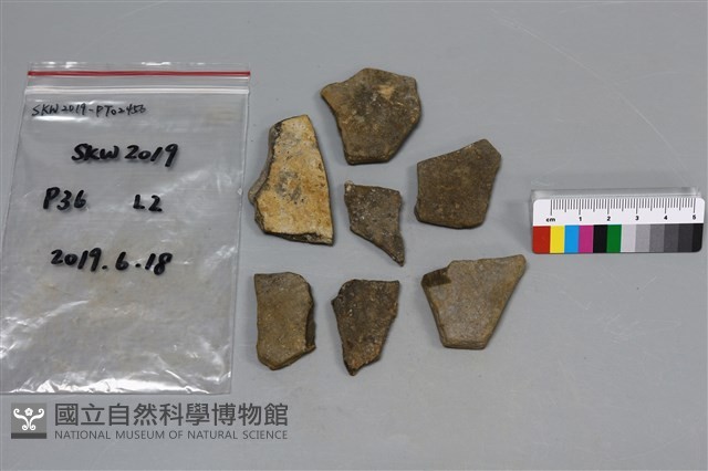 陶片藏品圖，第1張