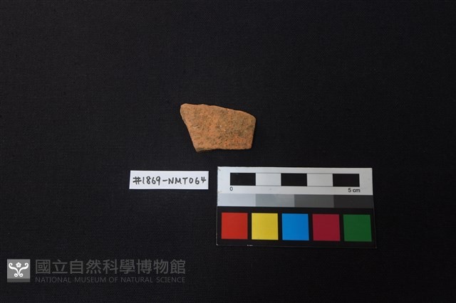 陶片藏品圖，第1張
