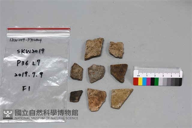 陶片藏品圖，第1張