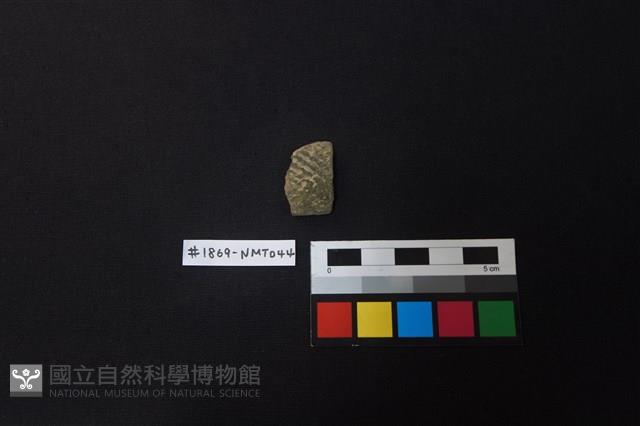 陶片藏品圖，第1張