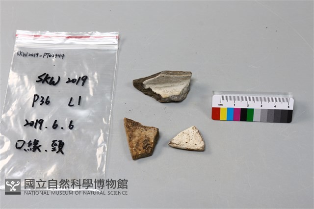 陶片藏品圖，第1張