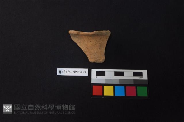 陶片藏品圖，第1張