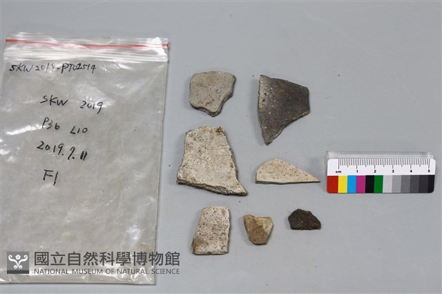 陶片藏品圖，第1張