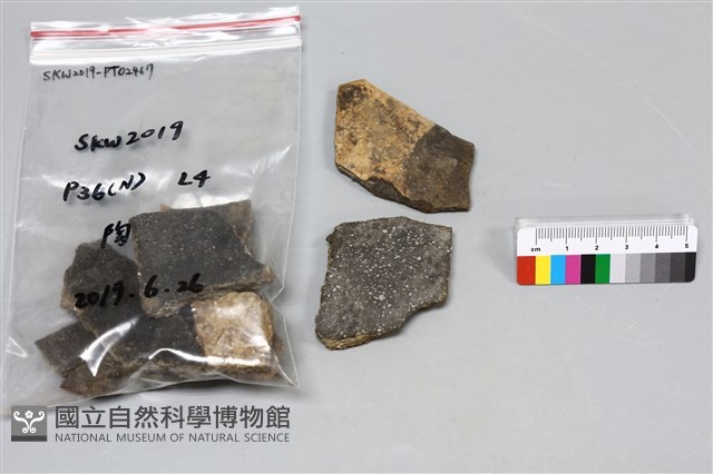 陶片藏品圖，第1張