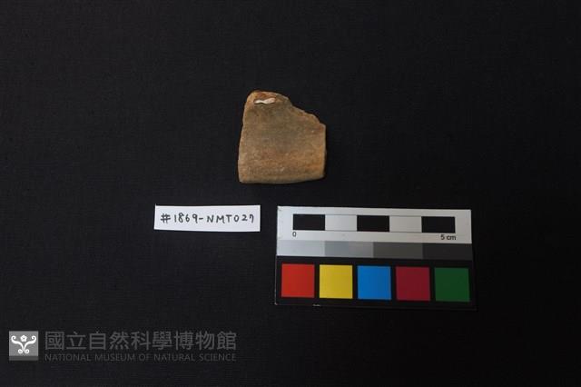 陶片藏品圖，第1張