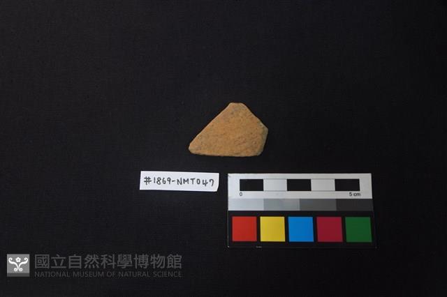 陶片藏品圖，第1張