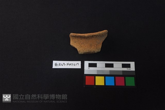 陶片藏品圖，第1張