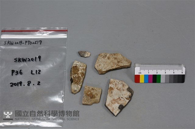 陶片藏品圖，第1張