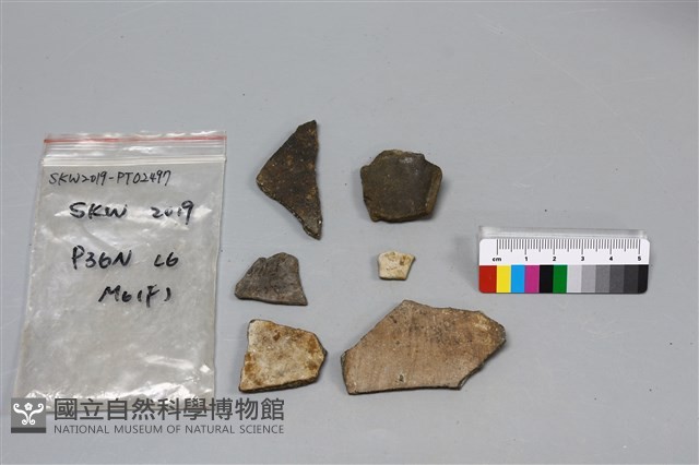 陶片藏品圖，第1張