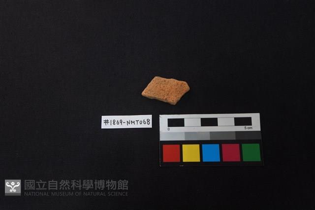 陶片藏品圖，第1張