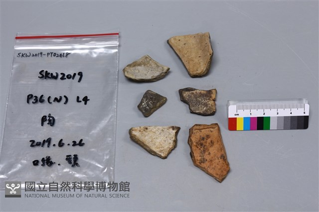 陶片藏品圖，第1張