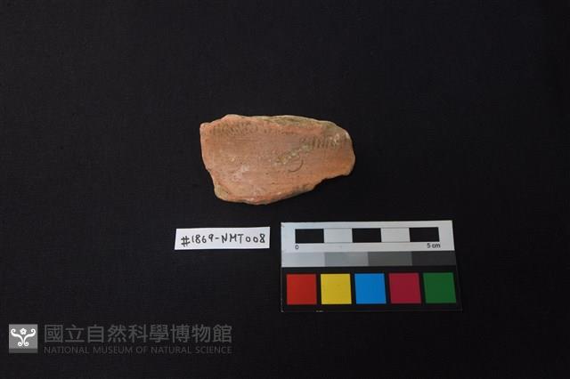 陶片藏品圖，第1張