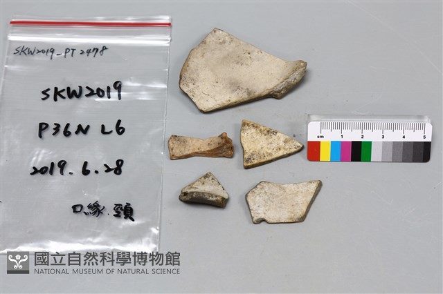 陶片藏品圖，第1張