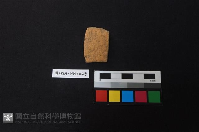 陶片藏品圖，第1張