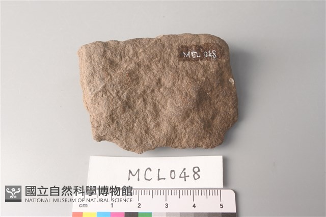 石片藏品圖，第1張
