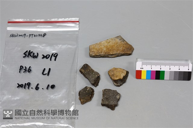 陶片藏品圖，第1張