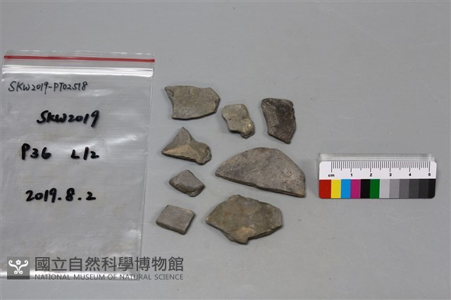 陶片藏品圖，第1張