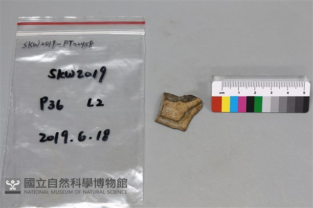 陶片藏品圖，第1張