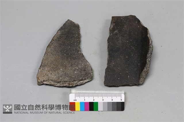 陶片藏品圖，第3張