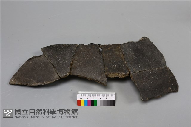 陶片藏品圖，第3張