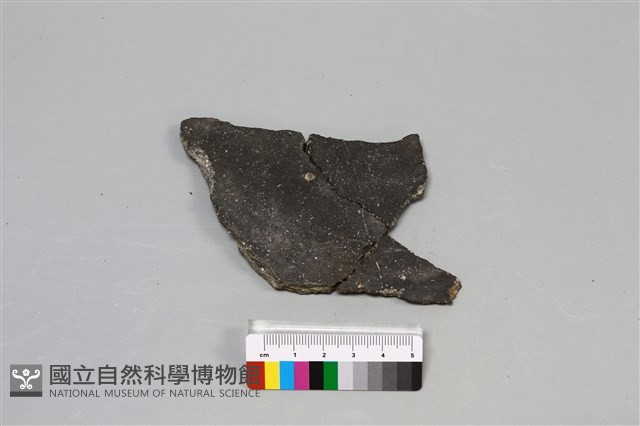陶片藏品圖，第3張