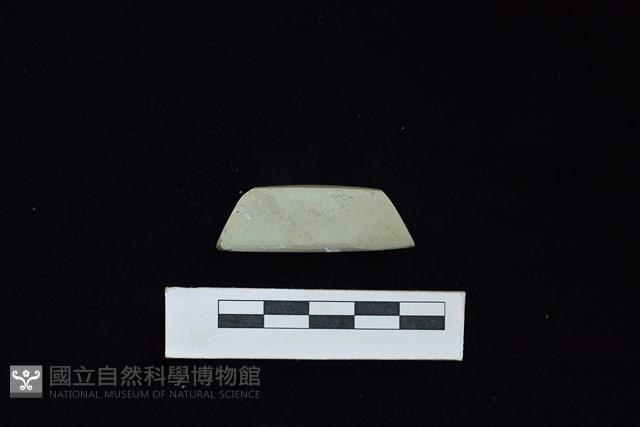 錛鑿形器藏品圖，第3張